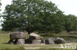 Gasterse Duinen