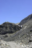 Grossglockner