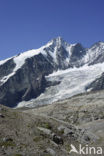 Grossglockner