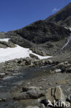 Grossglockner