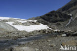 Grossglockner