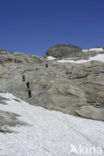 Grossglockner