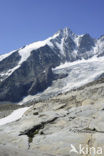 Grossglockner