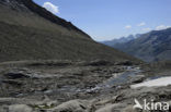 Grossglockner