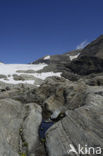 Grossglockner