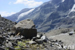 Grossglockner