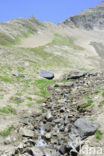 Grossglockner