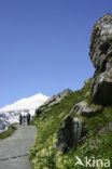 Grossglockner