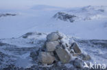 Hardangervidda National Park