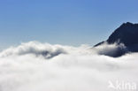 Hautes-Pyrénées