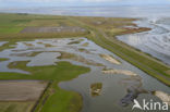 Lage Land van Texel