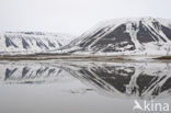 Longyearbyen