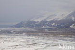 Longyearbyen