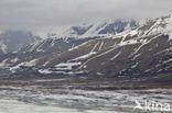 Longyearbyen