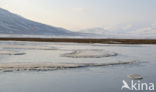 Longyearbyen