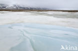 Longyearbyen