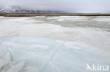 Longyearbyen