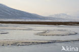 Longyearbyen