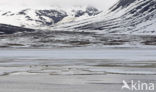 Longyearbyen