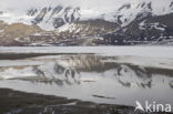 Longyearbyen