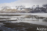 Longyearbyen