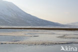 Longyearbyen