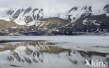 Longyearbyen