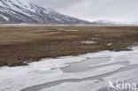 Longyearbyen