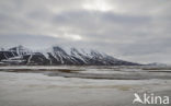 Longyearbyen