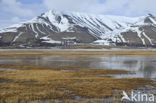 Longyearbyen