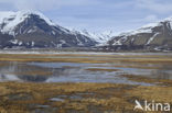 Longyearbyen