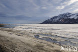 Longyearbyen