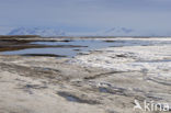 Longyearbyen