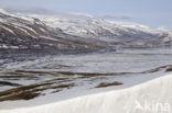 Longyearbyen