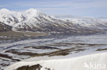 Longyearbyen