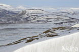 Longyearbyen