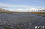 Longyearbyen