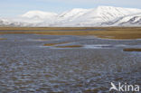 Longyearbyen