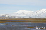 Longyearbyen