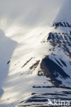 Longyearbyen