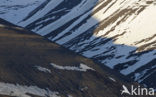 Longyearbyen