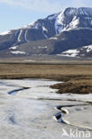 Longyearbyen