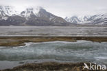 Longyearbyen