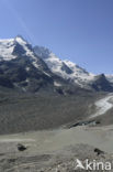 Nationaal Park Hohe Tauern