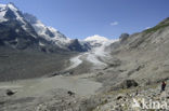 Nationaal Park Hohe Tauern