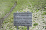 Hohe Tauern National Park