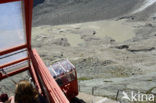 Nationaal Park Hohe Tauern