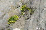 Nationaal Park Hohe Tauern