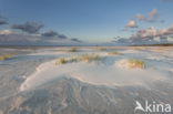 Northsea beach
