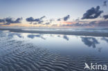 Noordzee